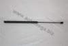 AUTOMEGA 3101320739 Gas Spring, boot-/cargo area